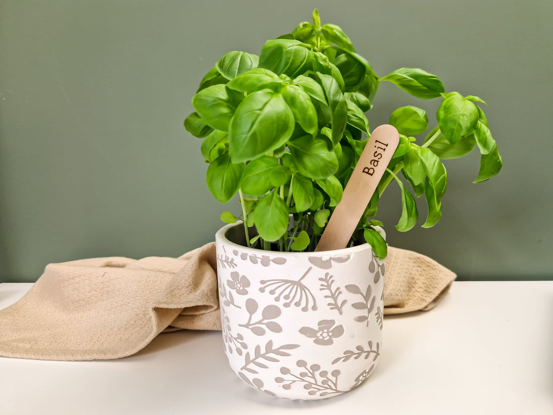 How To: Make Your Own Plant Markers