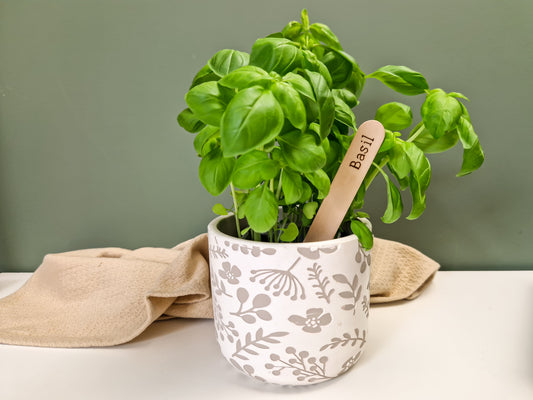 How To: Make Your Own Plant Markers