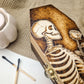 Skeleton and Rose Coffin Box